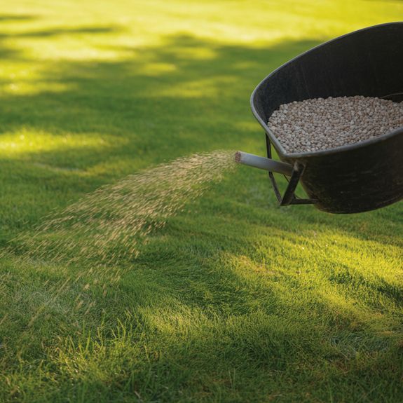 Lawn Fertilization