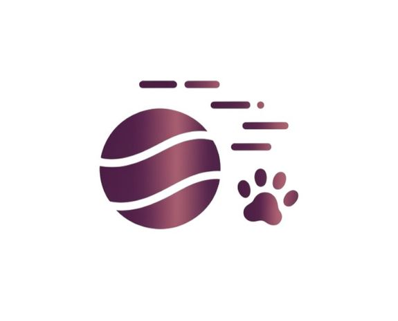 Interactive Play and Socialization