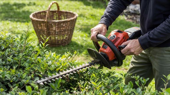 Elevate Your Outdoor Spaces with Sunrise Lawncare and Landscaping in Houston, TX