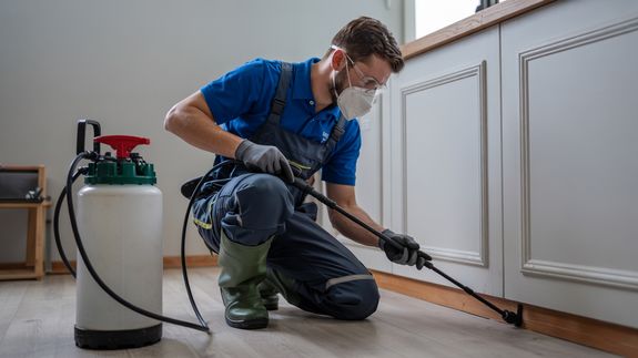 Is your ant control treatment safe for children and pets?