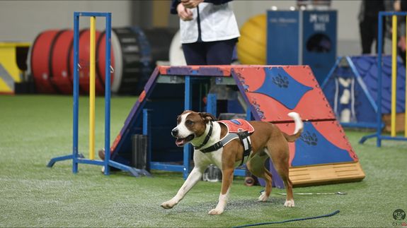 Affordable Rates for Quality Care