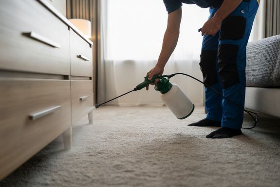 Reliable Pest Control Solutions in Hallandale Beach, FL