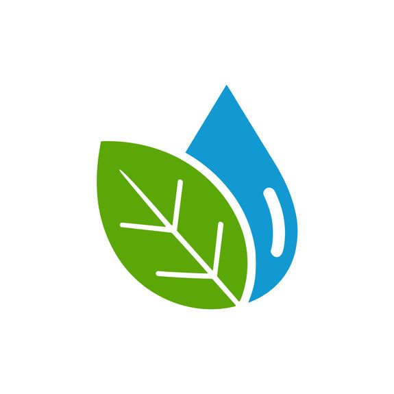 Eco-Friendly Cleaning Solutions