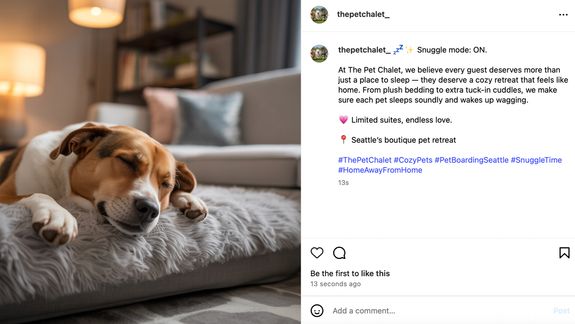 Follow Our Daily Adventures