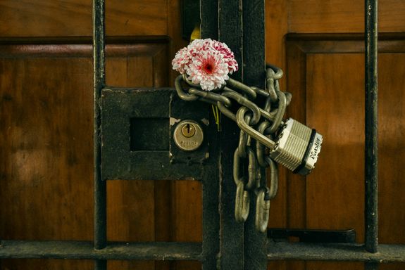 Close-up of a Flower between a Chair and Padlock on a Gate 