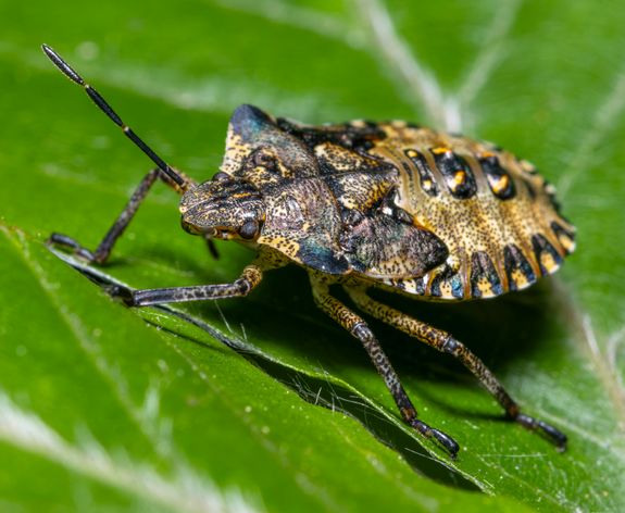 What areas do you serve?