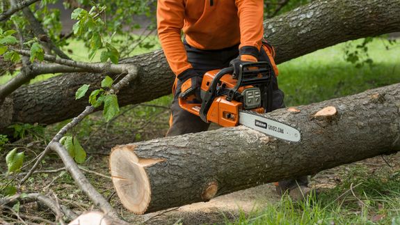 Insurance Partnership Support