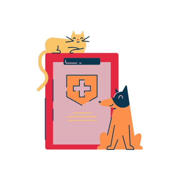 Customized Care Plan