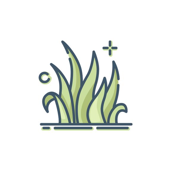 Passion for Lawn Perfection