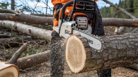 Expert Tree Service and Plant Health Care in Alamogordo, NM