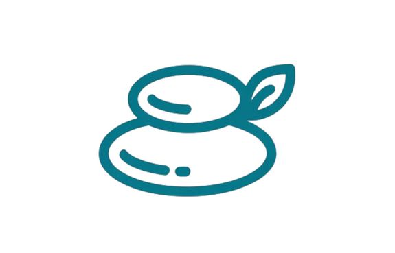 Wellness Plus – $239/month