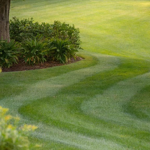 Regular Lawn Maintenance