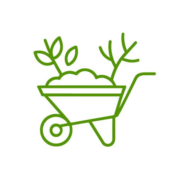 Brush Removal & Yard Debris Cleanup