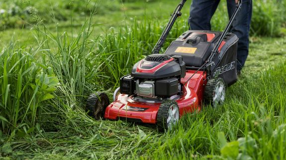 Do you offer consultations for garden design?