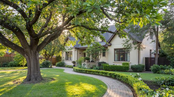 Clear Your Space and Embrace Nature in Palmerston North.