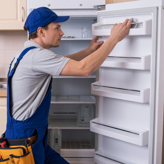 Full System Inspection