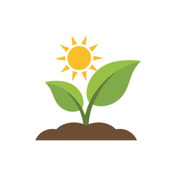 Eco-Friendly Practices