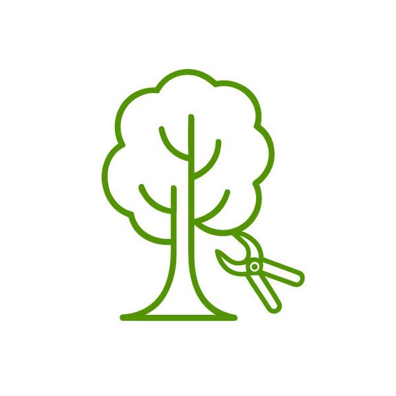 Tree Trimming & Pruning