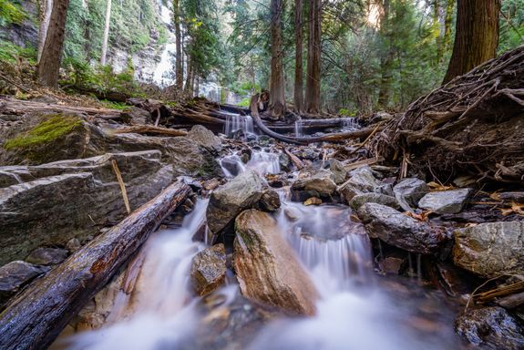 Water Falls in the Woods
