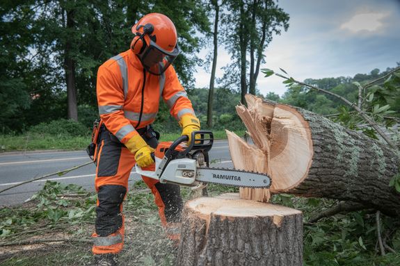 Your Trusted Partner in Expert Lawn Care and Tree Services