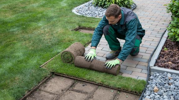 Lawn Care Built for Summit Weather and Soil