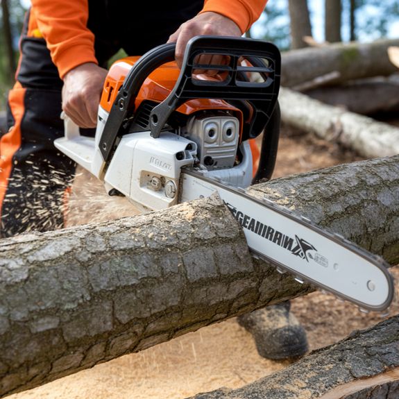 Professional Service & Clean-Up