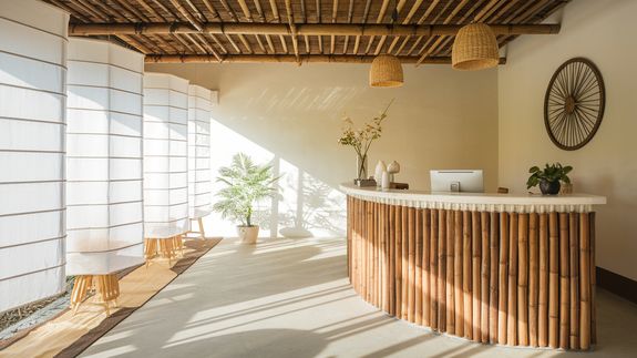 Holistic Approach to Wellness