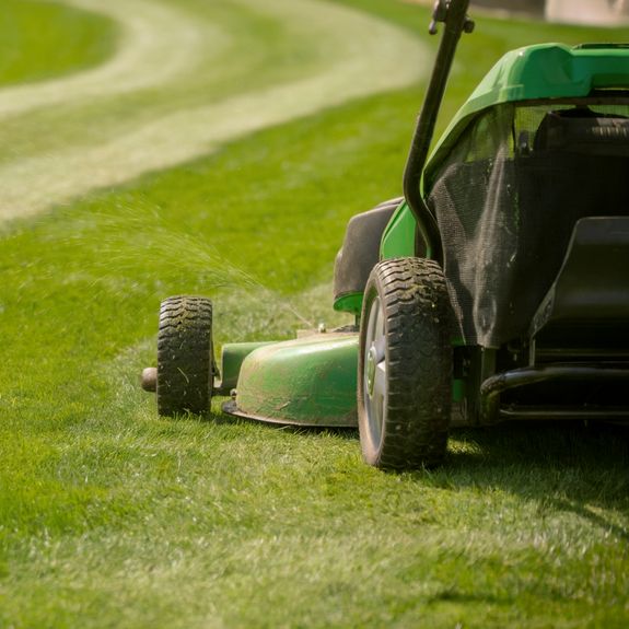 3. Expert Implementation