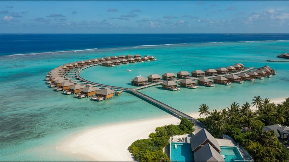 Ready to Go? Book Your Trip Online in Minutes