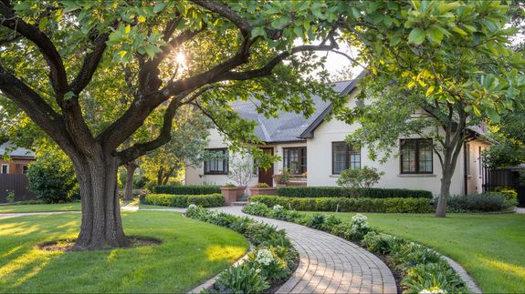 Your Trusted Partner for Tree Care in Orlando