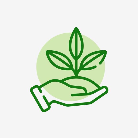 Eco-Friendly Practices