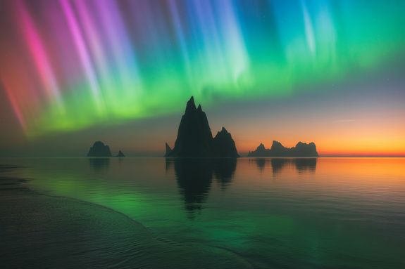 Engaging and Interactive Fun