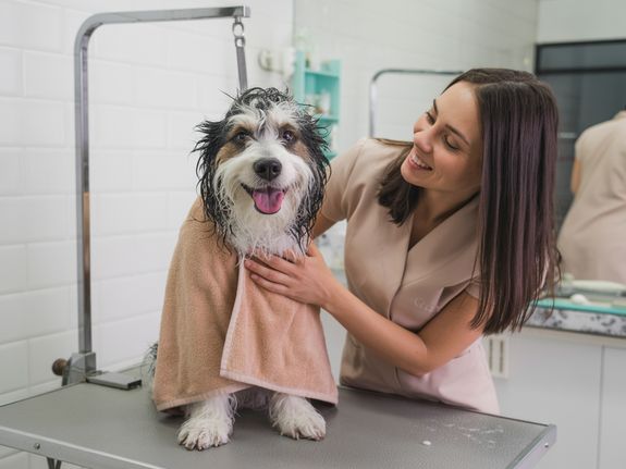 Why Seattle Pet Parents Love Our Boutique Spa