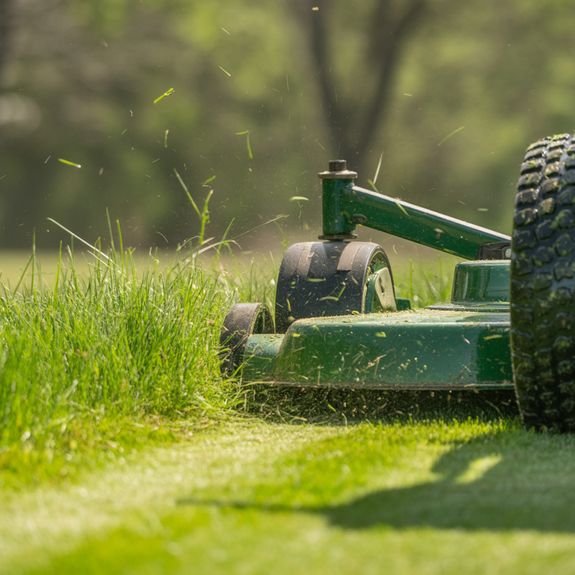 Exterior of contemporary house with cozy terrace and garden with bushes and trees on autumn day