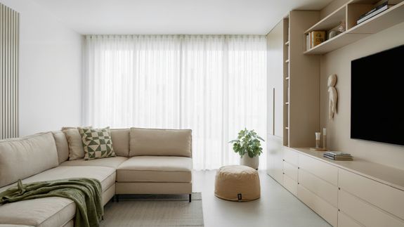 Interior of cozy minimalist living room with soft couches and TV