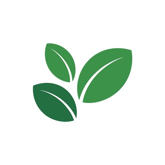 Eco-Friendly Practices