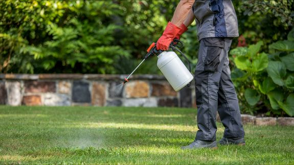 Veteran-Led Excellence