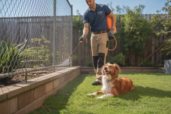 Flea and Tick Removal