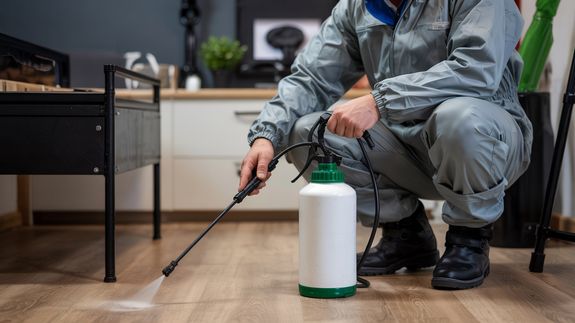 How do I know if I have a bed bug infestation?