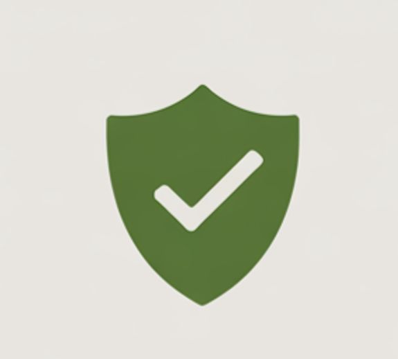 Licensed, Insured & Safety-Focused