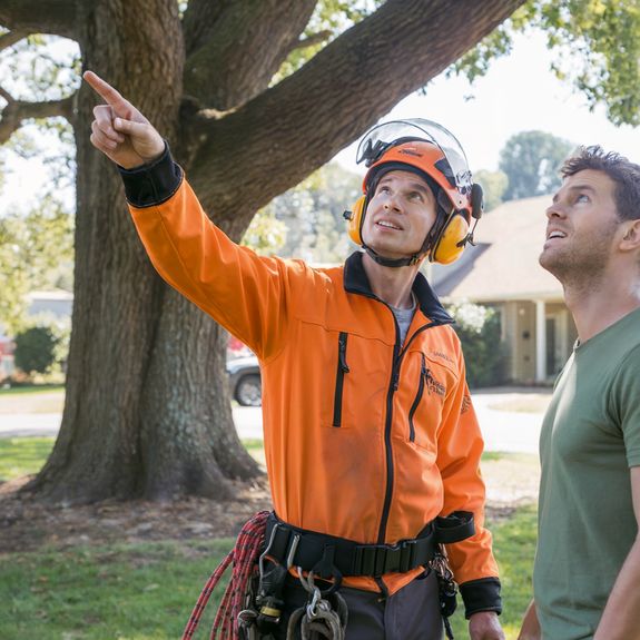 1. Free Consultation & On-Site Assessment