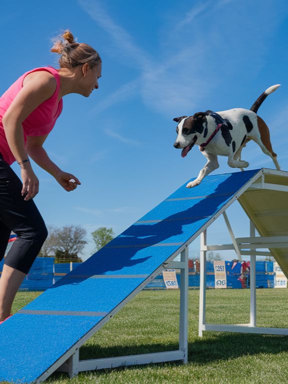 Tailored Training for Your Best Friend in Winooski.