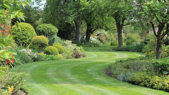 Transform Your Outdoors with Expert Landscaping and Cleaning Services in Houston, TX