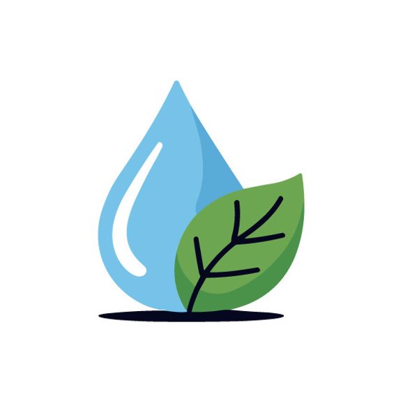 Eco-Friendly Products