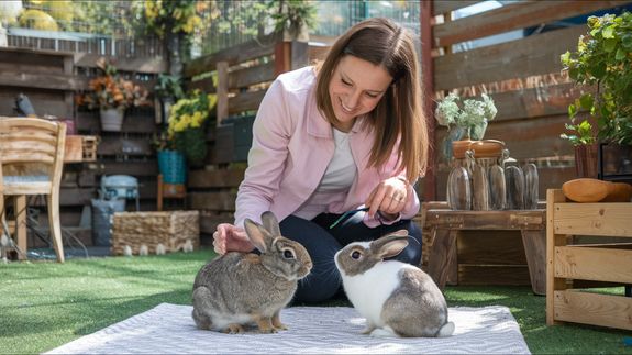 Loving Pet Sitting Services in Las Vegas, NV
