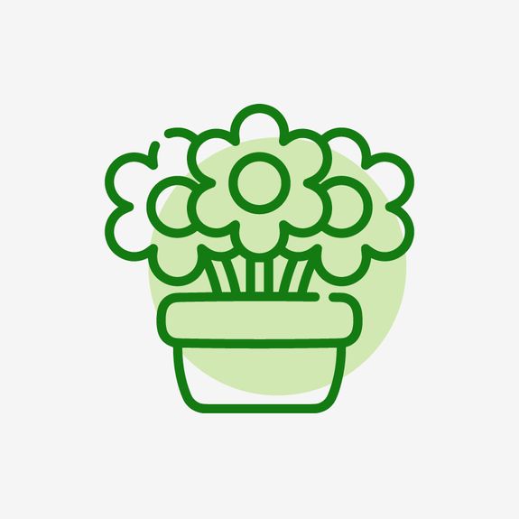 Trusted by Homeowners