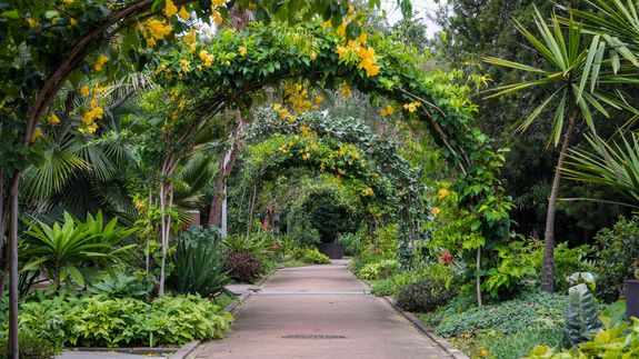 Eco-Friendly Practices