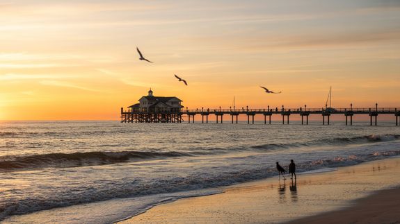 Accessories for Your Adventures, All Online.