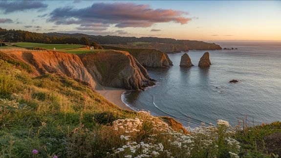 Trustworthy Booking Services