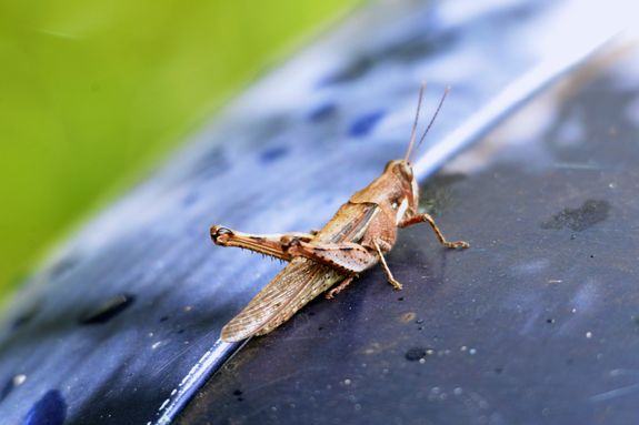 Customer-Focused Approach